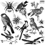 Birds_&_Bees_stamp_artwork Birds_&_Bees_stamp_artwork