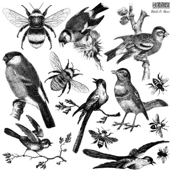 Birds_&_Bees_stamp_artwork Birds_&_Bees_stamp_artwork