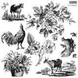 La_Campagne_stamps_1 La_Campagne_stamps_1