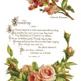 Copy of IOD-TRA-LOV Lover of Flowers page 4 small Copy of IOD-TRA-LOV Lover of Flowers page 4 small