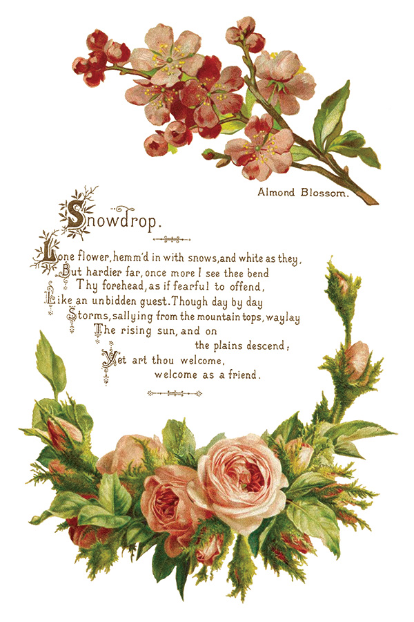 Copy of IOD-TRA-LOV Lover of Flowers page 4 small