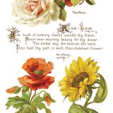 Copy of IOD-TRA-LOV Lover of Flowers page 5 small Copy of IOD-TRA-LOV Lover of Flowers page 5 small