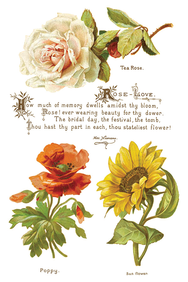 Copy of IOD-TRA-LOV Lover of Flowers page 5 small