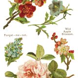 Copy of IOD-TRA-LOV Lover of Flowers page 6 small Copy of IOD-TRA-LOV Lover of Flowers page 6 small