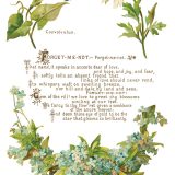 Copy of IOD-TRA-LOV Lover of Flowers page 7 small Copy of IOD-TRA-LOV Lover of Flowers page 7 small