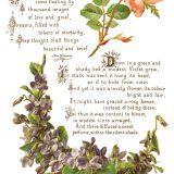 Copy of IOD-TRA-LOV Lover of Flowers page 8 small Copy of IOD-TRA-LOV Lover of Flowers page 8 small