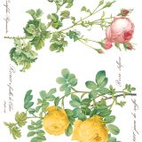 Copy of Rose Botanical page 2 sml Copy of Rose Botanical page 2 sml