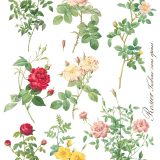 Copy of Rose Botanical page 4 sml Copy of Rose Botanical page 4 sml